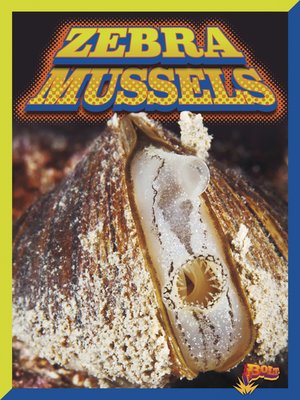 cover image of Zebra Mussels